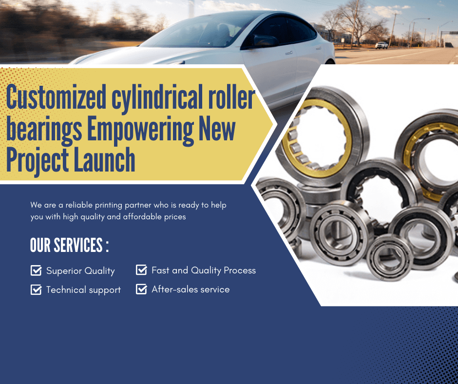 TP Bearing Customized cylindrical roller bearings Empowering New Project Launch